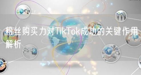 粉丝购买力对TikTok成功的关键作用解析