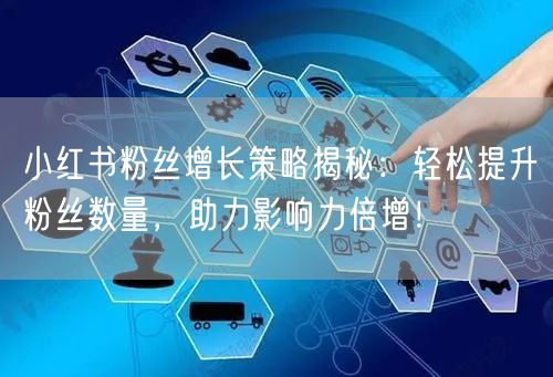 小红书粉丝增长策略揭秘：轻松提升粉丝数量，助力影响力倍增！