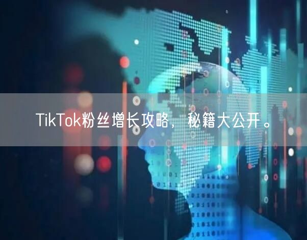 TikTok粉丝增长攻略，秘籍大公开。