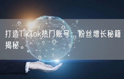 打造TikTok热门账号：粉丝增长秘籍揭秘。