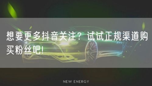 想要更多抖音关注？试试正规渠道购买粉丝吧!