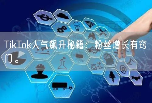 TikTok人气飙升秘籍：粉丝增长有窍门。