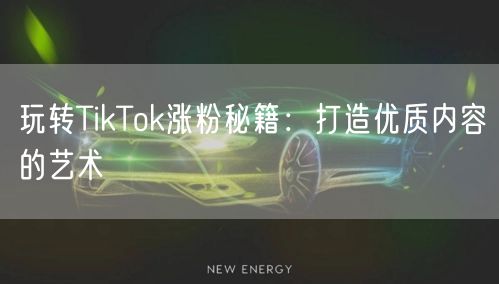 玩转TikTok涨粉秘籍：打造优质内容的艺术
