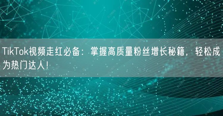 TikTok视频走红必备：掌握高质量粉丝增长秘籍，轻松成为热门达人！