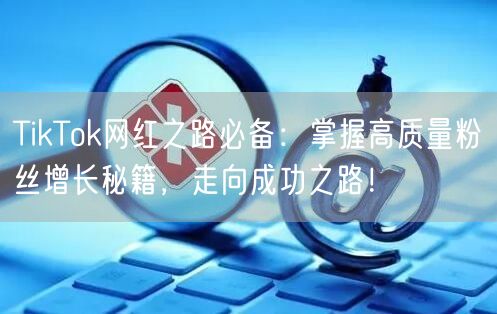 TikTok网红之路必备：掌握高质量粉丝增长秘籍，走向成功之路！