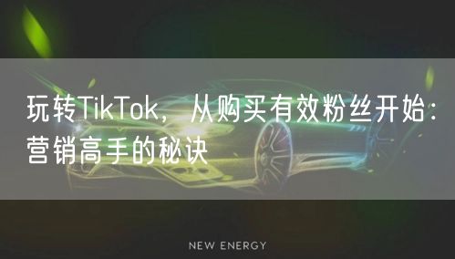 玩转TikTok，从购买有效粉丝开始：营销高手的秘诀