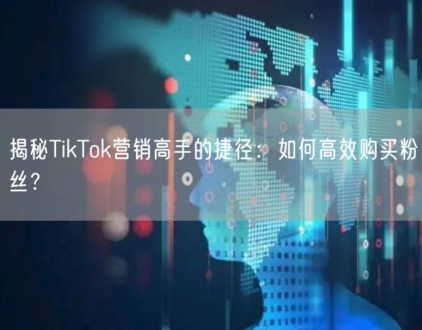 揭秘TikTok营销高手的捷径：如何高效购买粉丝？