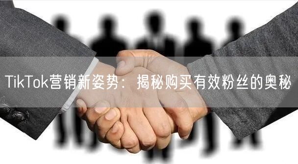 TikTok营销新姿势：揭秘购买有效粉丝的奥秘