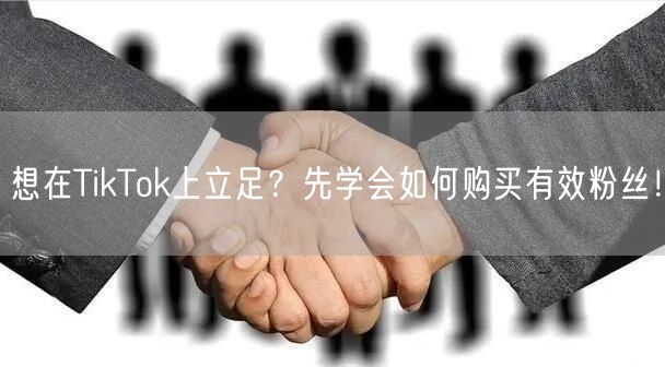 想在TikTok上立足？先学会如何购买有效粉丝！