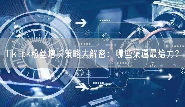 TikTok粉丝增长策略大解密：哪些渠道最给力？