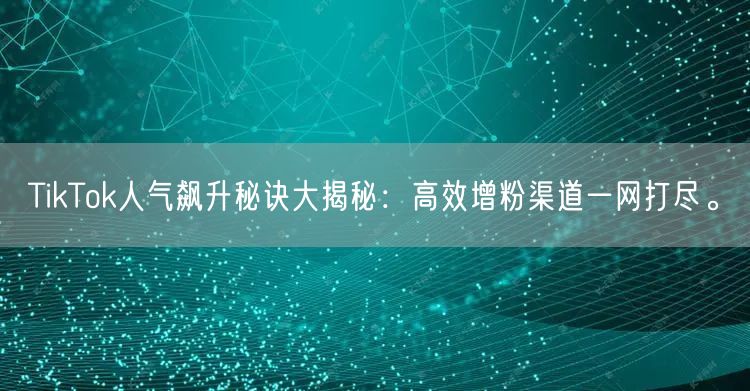 TikTok人气飙升秘诀大揭秘：高效增粉渠道一网打尽。