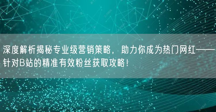 深度解析揭秘专业级营销策略，助力你成为热门网红——针对B站的精准有效粉丝获取攻略