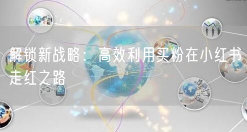 解锁新战略：高效利用买粉在小红书走红之路
