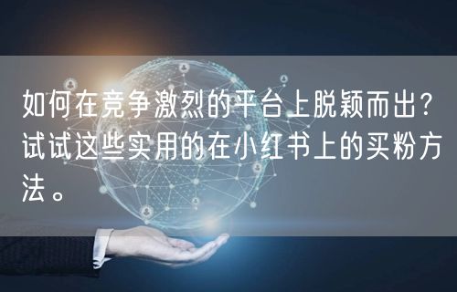 如何在竞争激烈的平台上脱颖而出？试试这些实用的在小红书上的买粉方法。