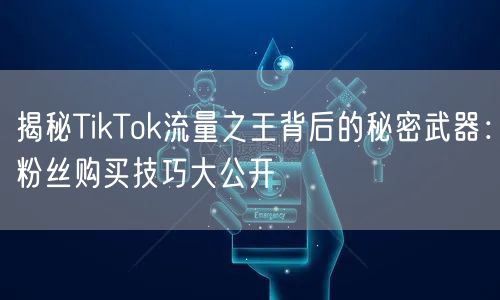 揭秘TikTok流量之王背后的秘密武器：粉丝购买技巧大公开
