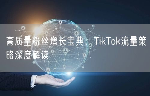高质量粉丝增长宝典：TikTok流量策略深度解读