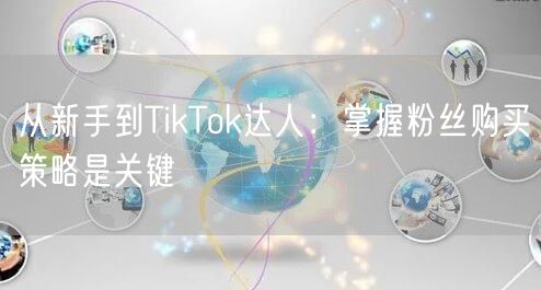 从新手到TikTok达人：掌握粉丝购买策略是关键