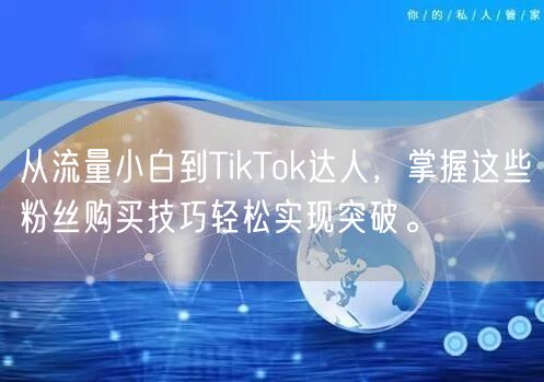 从流量小白到TikTok达人，掌握这些粉丝购买技巧轻松实现突破。