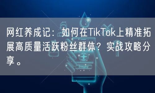 网红养成记：如何在TikTok上精准拓展高质量活跃粉丝群体？实战攻略分享。