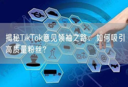 揭秘TikTok意见领袖之路：如何吸引高质量粉丝？