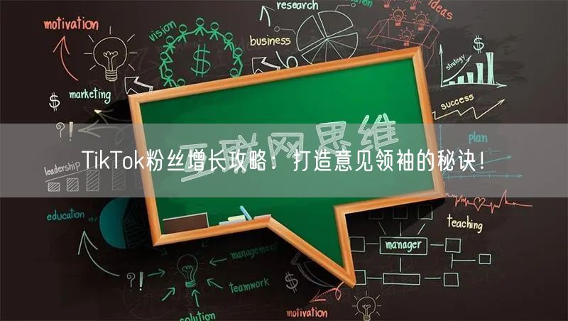 TikTok粉丝增长攻略：打造意见领袖的秘诀！