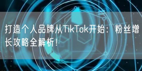 打造个人品牌从TikTok开始：粉丝增长攻略全解析！