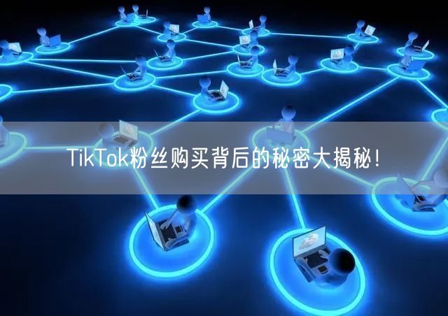 TikTok粉丝购买背后的秘密大揭秘！