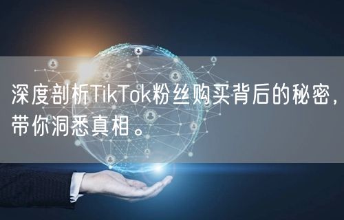 深度剖析TikTok粉丝购买背后的秘密，带你洞悉真相。