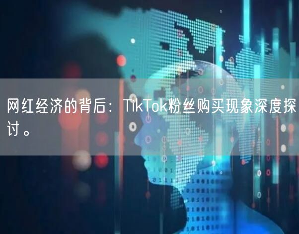网红经济的背后：TikTok粉丝购买现象深度探讨。
