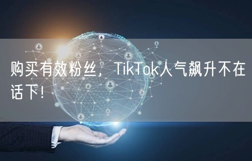 购买有效粉丝，TikTok人气飙升不在话下！