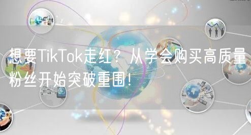 想要TikTok走红？从学会购买高质量粉丝开始突破重围！