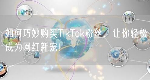 如何巧妙购买TikTok粉丝，让你轻松成为网红新宠！