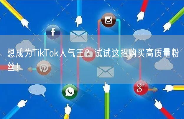 想成为TikTok人气王？试试这招购买高质量粉丝！