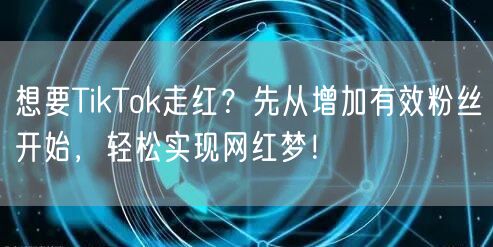 想要TikTok走红？先从增加有效粉丝开始，轻松实现网红梦！