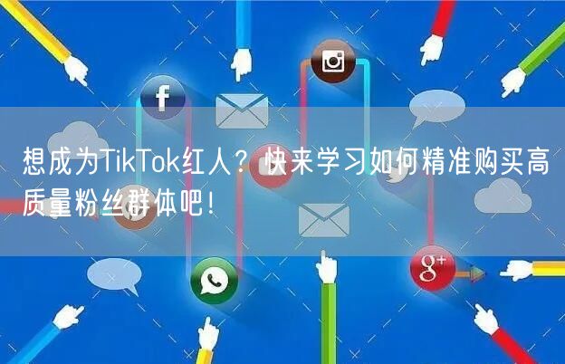 想成为TikTok红人？快来学习如何精准购买高质量粉丝群体吧！