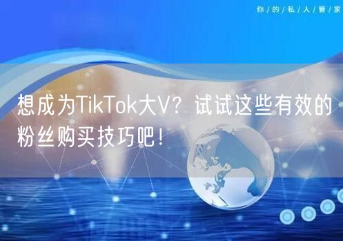 想成为TikTok大V？试试这些有效的粉丝购买技巧吧！