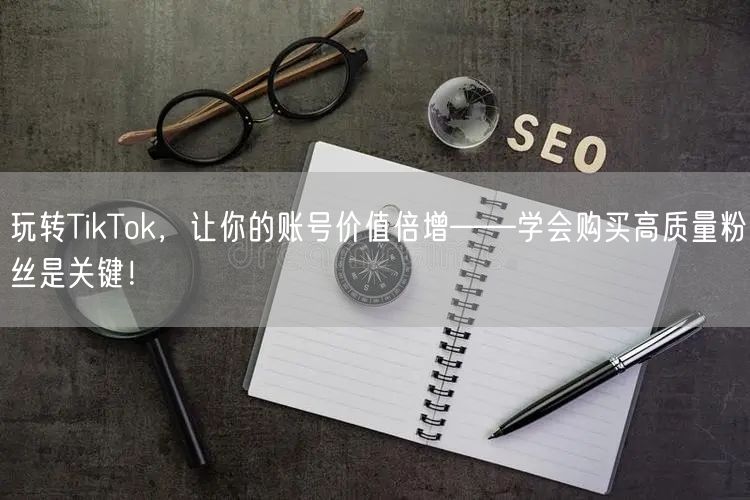 玩转TikTok，让你的账号价值倍增——学会购买高质量粉丝是关键！