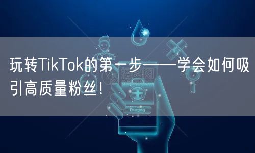 玩转TikTok的第一步——学会如何吸引高质量粉丝！