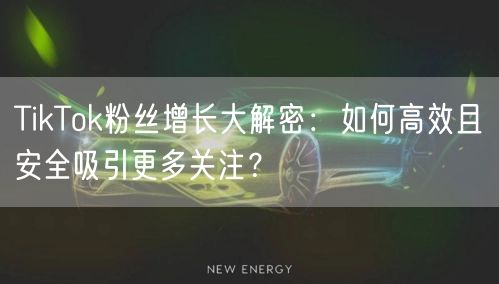 TikTok粉丝增长大解密：如何高效且安全吸引更多关注？