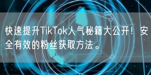快速提升TikTok人气秘籍大公开！安全有效的粉丝获取方法。