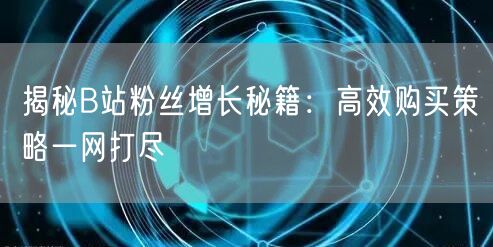 揭秘B站粉丝增长秘籍：高效购买策略一网打尽