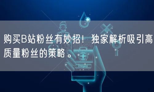 购买B站粉丝有妙招！独家解析吸引高质量粉丝的策略。