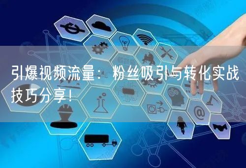 引爆视频流量：粉丝吸引与转化实战技巧分享！