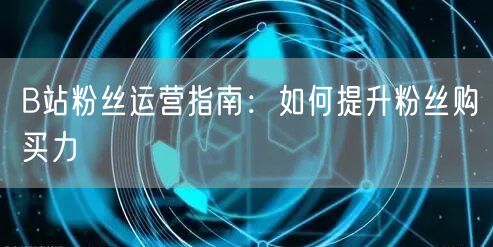 B站粉丝运营指南：如何提升粉丝购买力