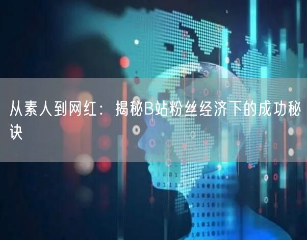 从素人到网红：揭秘B站粉丝经济下的成功秘诀