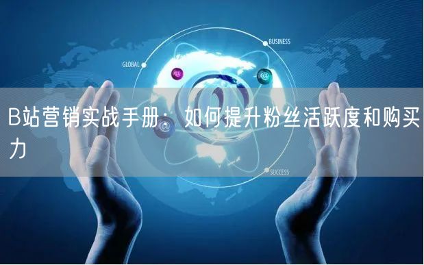 B站营销实战手册：如何提升粉丝活跃度和购买力