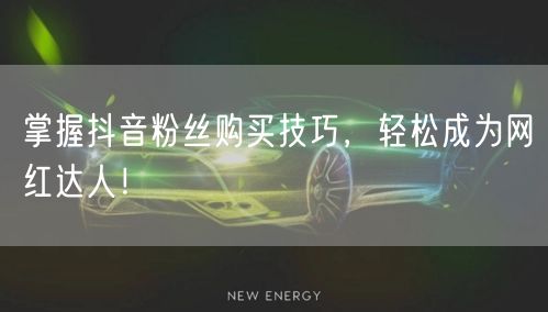 掌握抖音粉丝购买技巧，轻松成为网红达人！