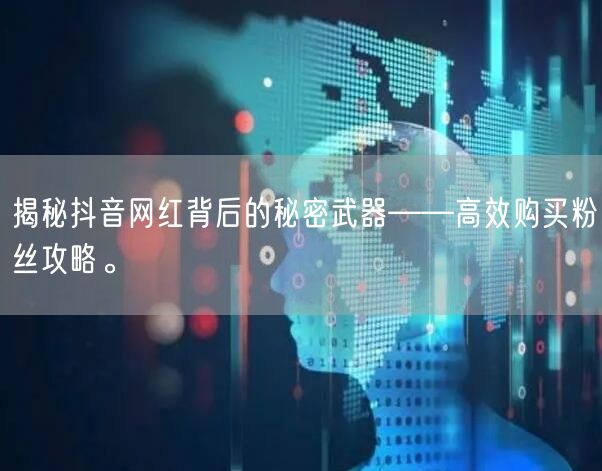 揭秘抖音网红背后的秘密武器——高效购买粉丝攻略。