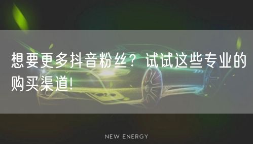 想要更多抖音粉丝？试试这些专业的购买渠道!