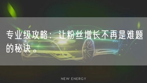 专业级攻略：让粉丝增长不再是难题的秘诀。